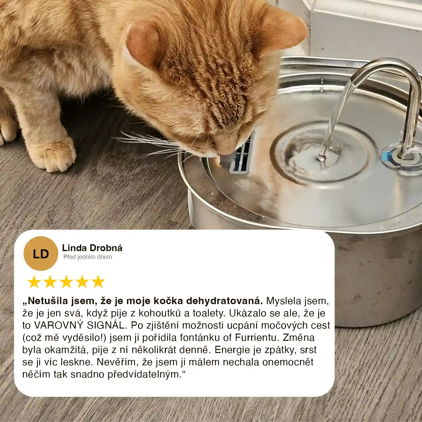 Furrient Nerezová Fontánka Pre Mačky